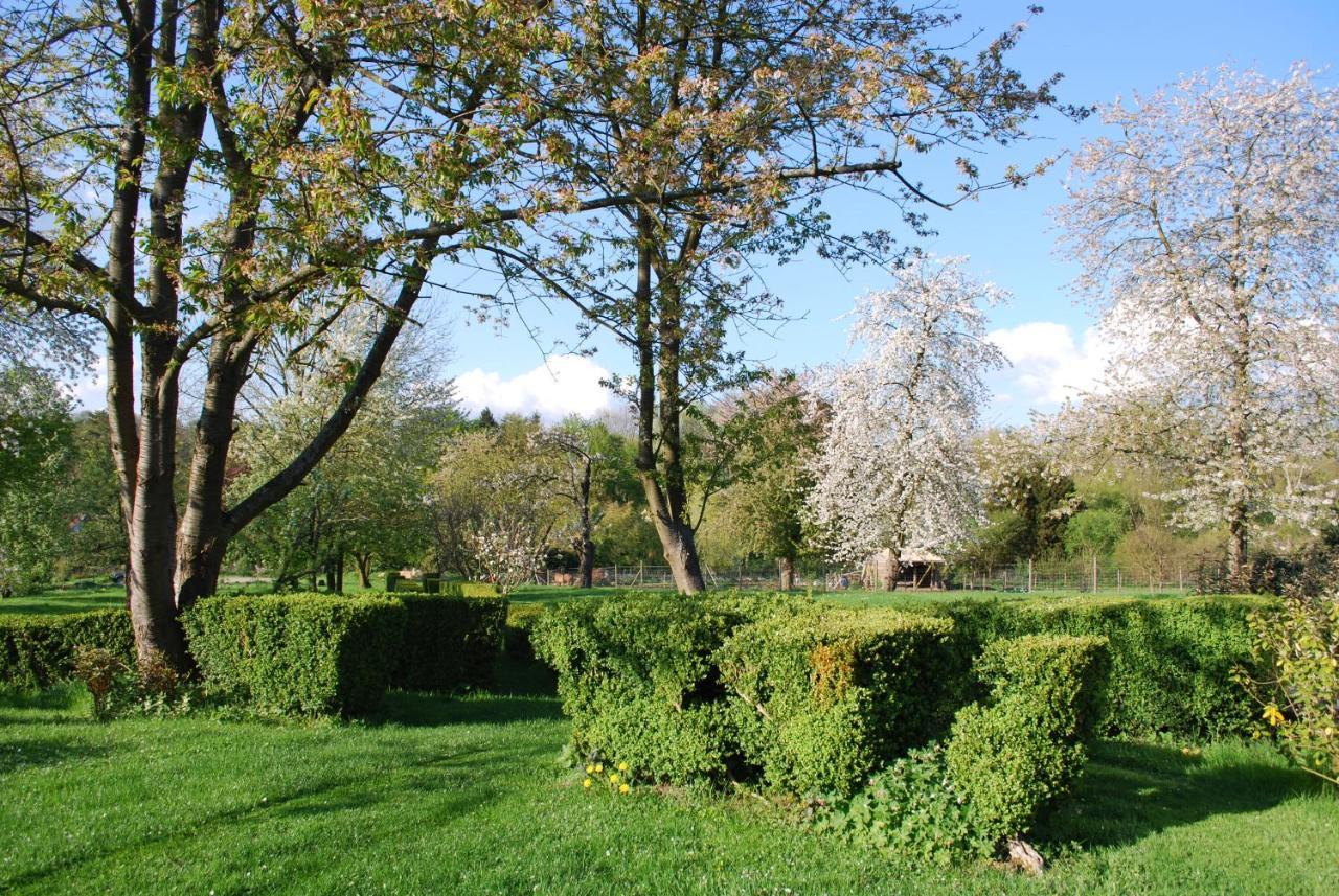Gites Aux Fleurs De Cerises Le Plessis-Luzarches المظهر الخارجي الصورة